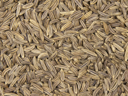 Caraway Seed Whole 25kg 