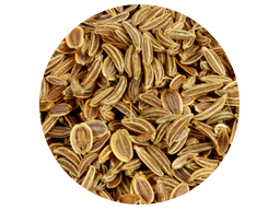 Dill Seed 25kg 