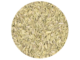 Fennel Seed Whole SS 25kg 